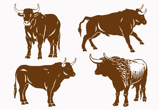 Vector sepia set of oxen , vector illustration