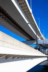 Fototapeta premium レインボーブリッジ