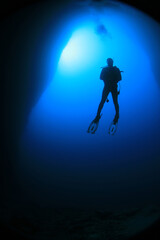 Diver