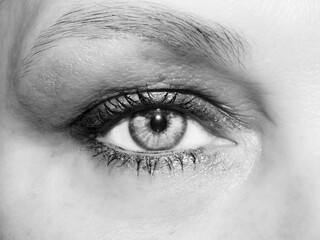 Female eye. mascara on the eyelashes. black and white