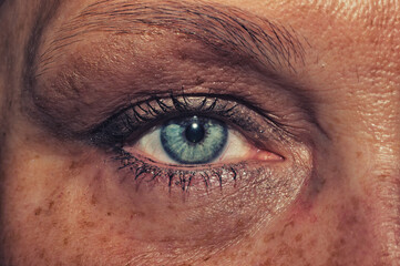 Female eye. freckled skin. mascara on the eyelashes. iris close up