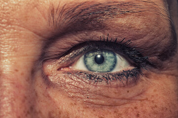 Female eye. freckled skin. mascara on the eyelashes. iris close up