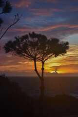 Puesta de sol con la naturaleza