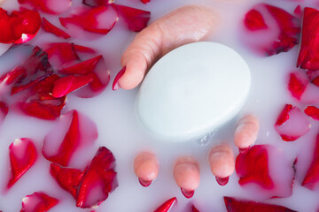 Female hand hold soap against the background of milk or white water with rose petals