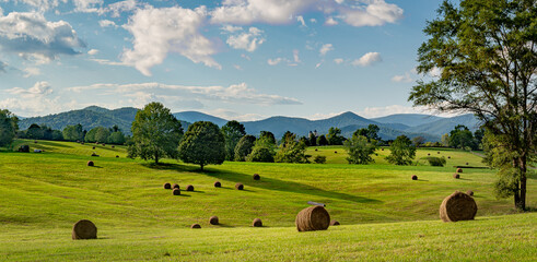 Hay bales in pasture on horse farm in shadow of the Blue Ridge Mountains in central Virginia near...