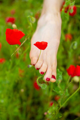 A girl runs barefoot across a poppy field. Red blooming poppy flowers and bare feet close-up
