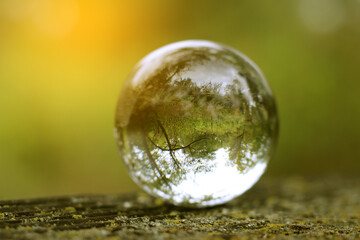 Crystal ball for optical illusion. Nature view through a crystal ball.