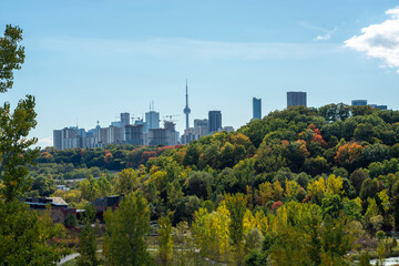 Fototapeta na wymiar Toronto Autumn Time