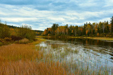 Lake with fall colors in Canadian forest, Quebec