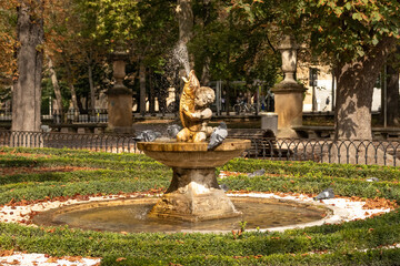 Three pigeons drinking from a fountain