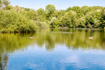  Hermann-Löns- Park  Hannover