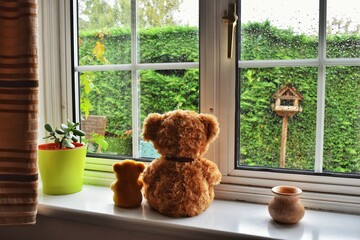 teddy bear on the window