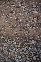Colorful small stones on clay and earth, nature and Czech Republic