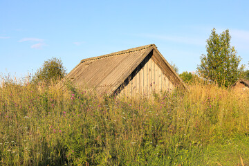 Tall grass against the wall of an old wooden potato cellar
