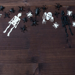 Plastic black skeleton, white flies and cockroaches, beetles