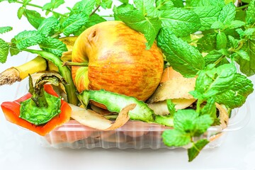 Food residues as fertilizer  , Organic waste is processed into compost