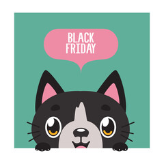 Black friday design with cute black cat