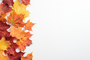 Naklejka na ściany i meble Autumn colorful maple leaves on white background. Season background. Autumn frame, thanksgiving banner mockup.