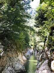 
Yew and boxwood grove and Devil's Gate canyon