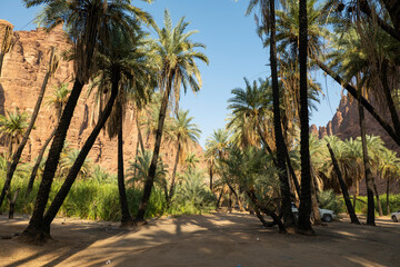 Naklejka na ściany i meble Wadi Al Disah valley views in Tabuk region of western Saudi Arabia