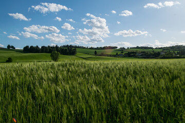 Landscapes of Marche , Italy: countryside.