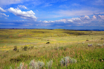 Fototapeta premium Montana - Little Bighorn Battleground