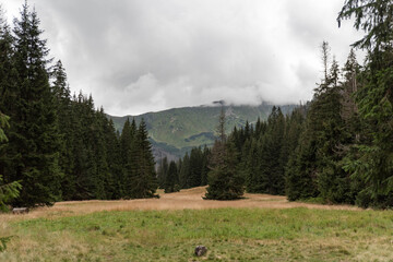 Gloomy mountains landscape, Dolina Kościeliska, Koscieliska Valley in tatra mountains