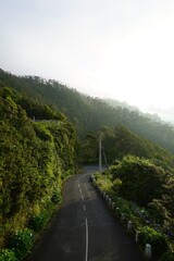 road in the mountains in madeira 