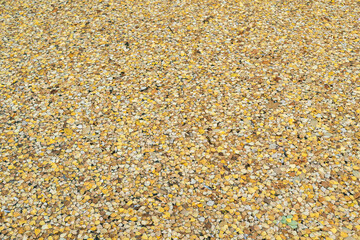 Yellow fallen leaves on the water, background.
