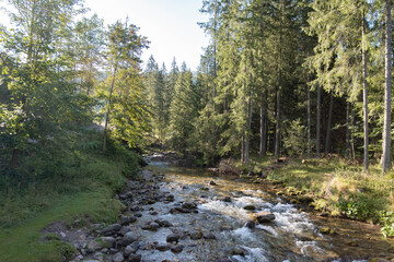 Stream in Koscieliska Valley in Tatra Mountains, Dolina Kościeliska in sunny morning, river in mountains 