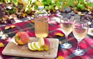 Warm autumn day with cozy outdoor picnic setting in gorgeous fall colour park with tasty gourmet food and drink
