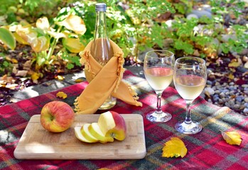 Warm autumn day with cozy outdoor picnic setting in gorgeous fall colour park with tasty gourmet food and drink