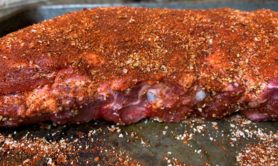 Close up of baby back ribs coated with a spice rub, visually appealing, macro © Yojak Vasa