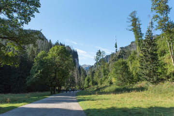 Fototapeta na wymiar Landscape view of Tatra Mountains, Dolina Kościeliska, sunny morning in Koscieliska Valley