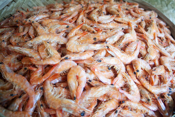 dry shrimp