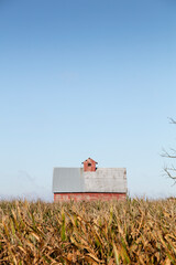Old Red Barn Midwest Corn Field © DesignFlip