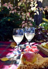 Warm autumn day with cozy outdoor picnic setting in gorgeous fall colour park with tasty gourmet...