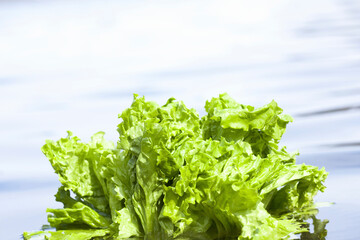 レタス