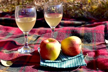 Warm autumn day with cozy outdoor picnic setting in gorgeous fall colour park with tasty gourmet...