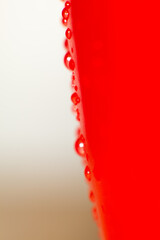 side of a fresh and wet red pepper