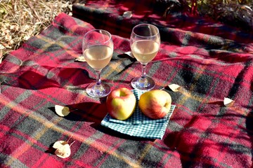 Warm autumn day with cozy outdoor picnic setting in gorgeous fall colour park with tasty gourmet food and drink