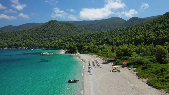 Aerial drone photo of paradise turquoise sandy beach of Milia covered in pine trees, Skopelos island, Sporades, Greece