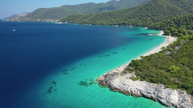 Aerial drone photo of paradise turquoise sandy beach of Milia covered in pine trees, Skopelos island, Sporades, Greece
