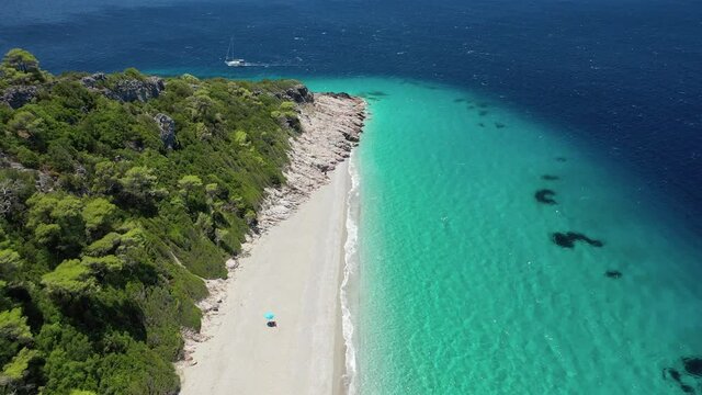 Aerial drone photo of paradise turquoise sandy beach of Milia covered in pine trees, Skopelos island, Sporades, Greece