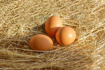 Organic eggs on a  straw. Fresh chicken eggs from the farm.