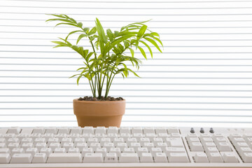 デスクイメージ