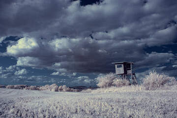 infrared photography - ir photo of landscape with tree under sky with clouds - the art of our world and plants in the infrared camera spectrum