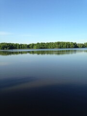 reflection of trees in water