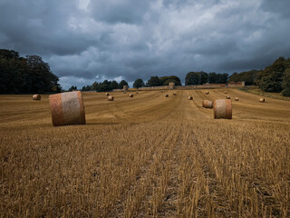Fototapeta na wymiar York, Northern Yorkshire - September 5 2020: A field with straw bales after harvest with clouds in the countryside