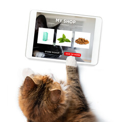 Cat ordering online by internet for home delivery. Paw on tablet with a shopping product selection. Concept for pets using technology,  or animals imitating humans. Isolated on white.